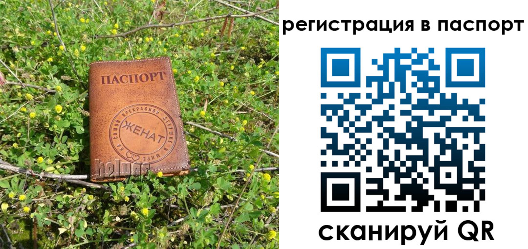 прописка законно в Сухиничи